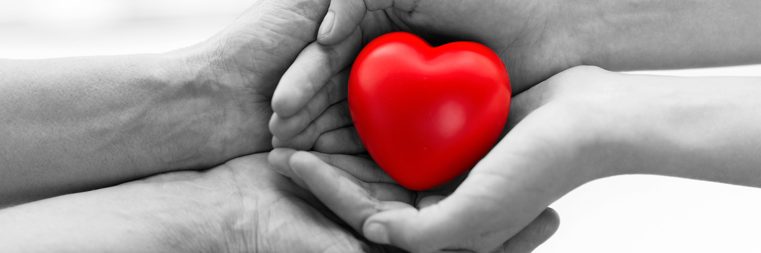 lang="x-repair" people, age, family, love and health care concept - close up of senior woman and young woman hands holding red heart